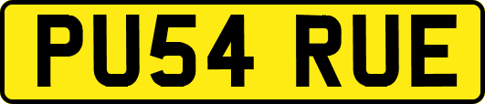 PU54RUE