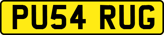 PU54RUG