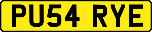 PU54RYE