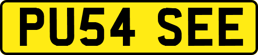 PU54SEE
