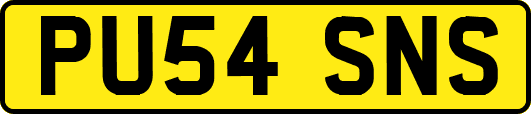 PU54SNS