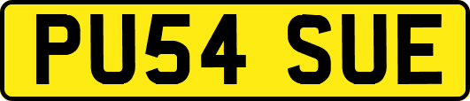 PU54SUE