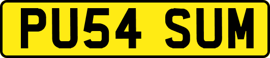 PU54SUM