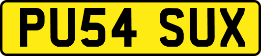 PU54SUX
