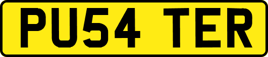 PU54TER