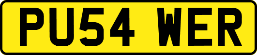 PU54WER
