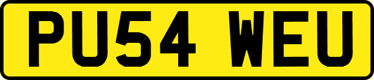PU54WEU