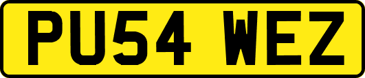 PU54WEZ