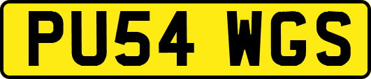 PU54WGS