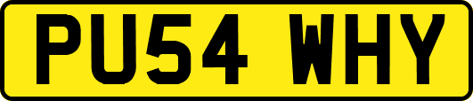 PU54WHY