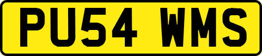 PU54WMS