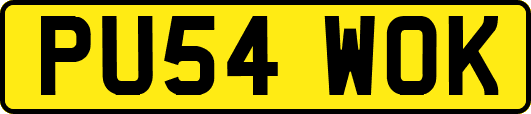 PU54WOK