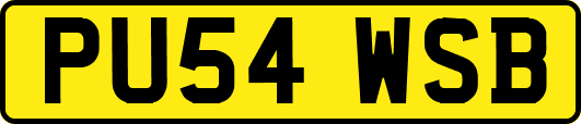 PU54WSB