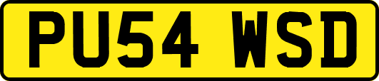 PU54WSD