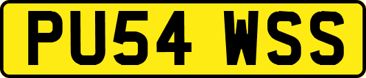 PU54WSS