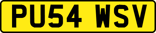 PU54WSV