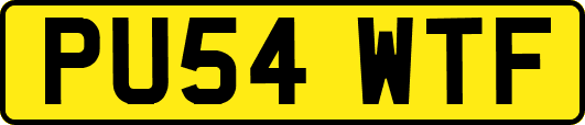 PU54WTF