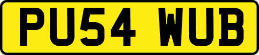 PU54WUB