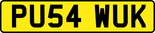 PU54WUK