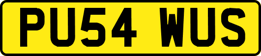 PU54WUS
