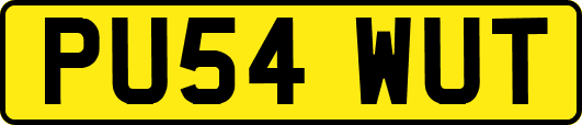 PU54WUT