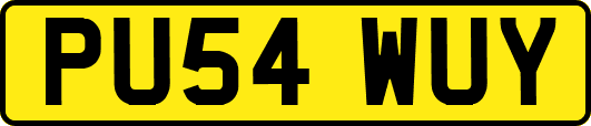 PU54WUY