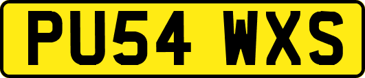 PU54WXS