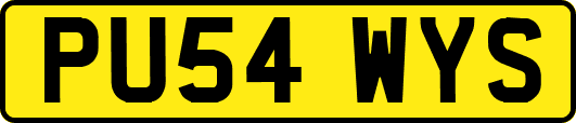 PU54WYS