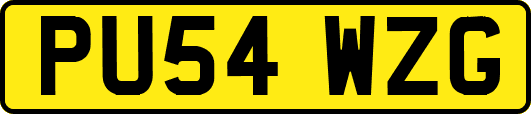 PU54WZG