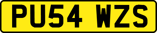 PU54WZS