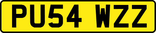 PU54WZZ