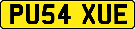 PU54XUE