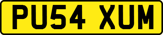PU54XUM