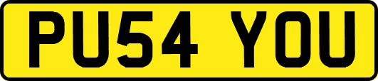 PU54YOU