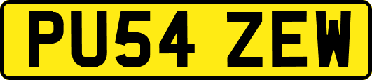 PU54ZEW
