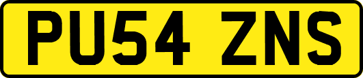 PU54ZNS