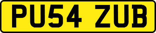 PU54ZUB