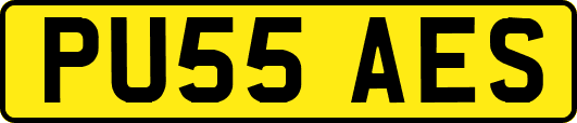 PU55AES