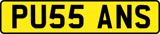 PU55ANS
