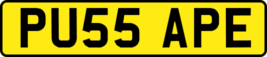 PU55APE