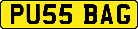 PU55BAG