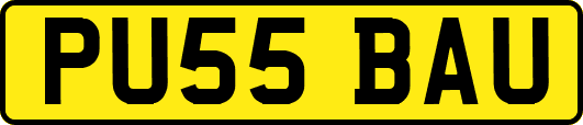 PU55BAU