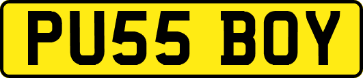 PU55BOY