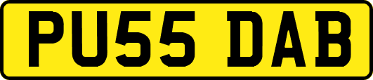 PU55DAB