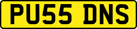 PU55DNS