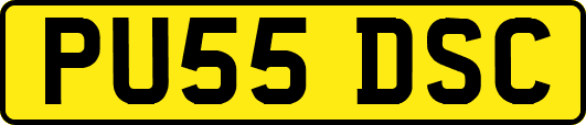 PU55DSC