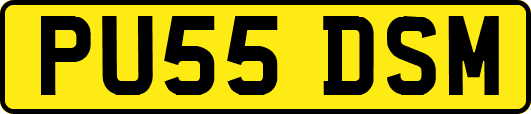 PU55DSM