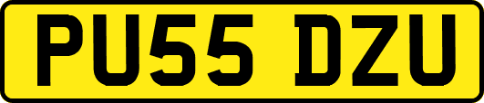 PU55DZU