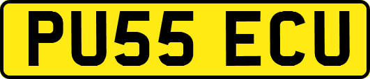 PU55ECU