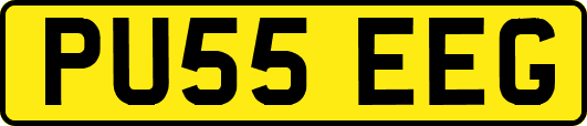 PU55EEG